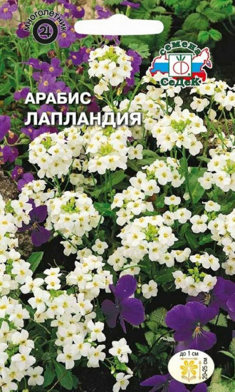 Семена арабиса «Лапландия»
