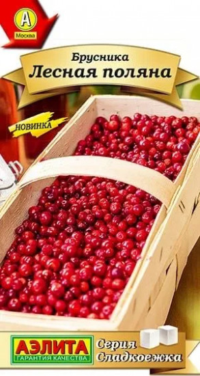 Брусника «Лесная поляна»