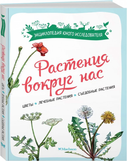 Растения вокруг нас