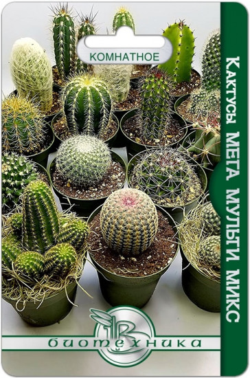 Кактусы «Мега мульти микс»
