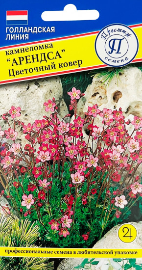 Камнеломка «Арендса «Цветочный ковер»