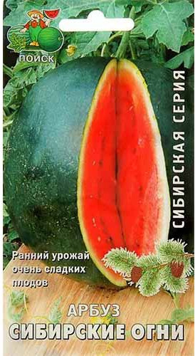 Семена арбуза «Сибирские огни»