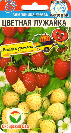 Семена земляники, смесь «Цветная лужайка»