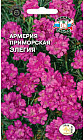 Семена армерии «Элегия»