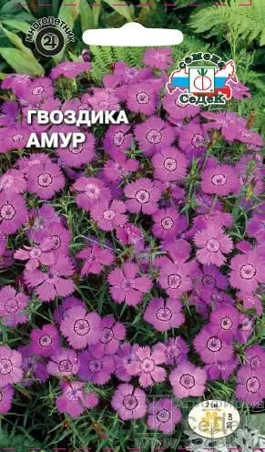 Семена гвоздика «Амур»