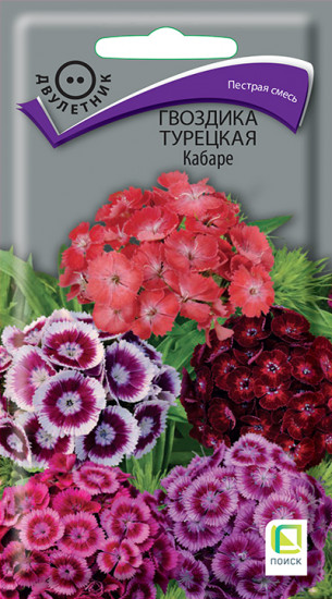 Семена гвоздика турецкая «Кабаре»
