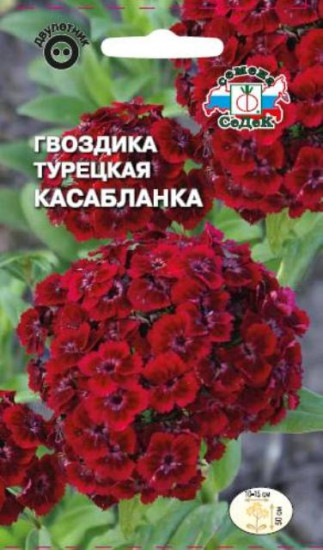 Семена гвоздика «Касабланка»