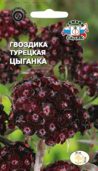 Семена гвоздика турецкая «Цыганка»