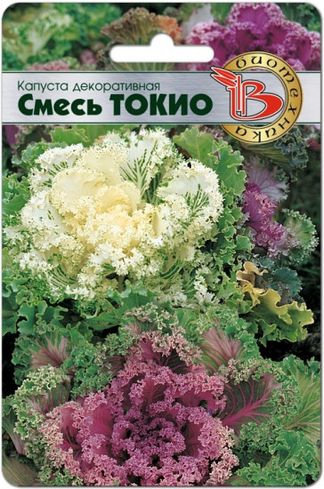 Семена капусты декоративной «Смесь Токио»