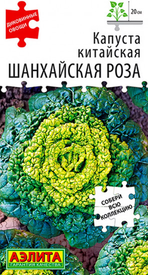 Семена капусты китайской «Шанхайская роза»