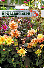 Семена георгин «Кровавая Мери»