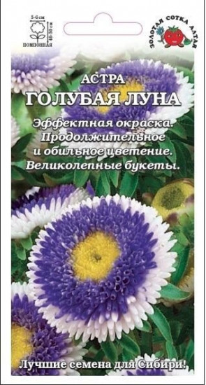 Семена астры «Голубая луна»
