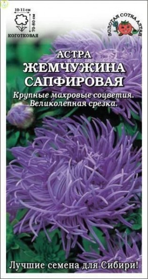 Семена астры «Жемчужина сапфировая»