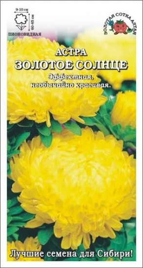 Семена астры «Золотое солнце»