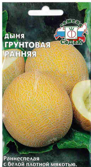 Семена дыни «Грунтовая ранняя»