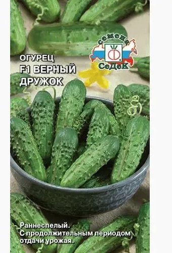 Семена огурцов «Верный дружок F1»