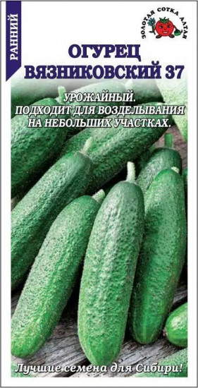 Семена огурцов «Вязниковский»