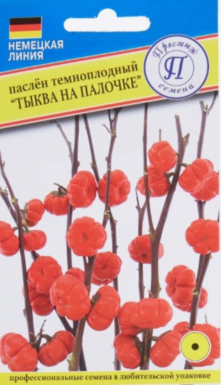 Семена паслена темпоплодного «Тыква на палочке»