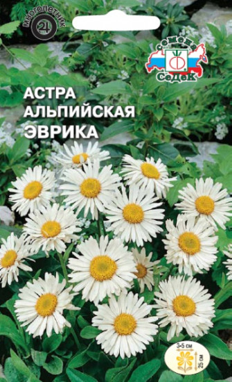 Семена астры «Эврика альпийская»