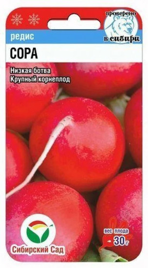 Семена редиса «Сора»
