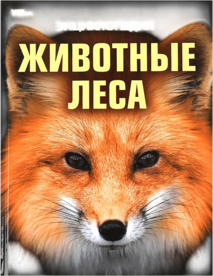 Животные леса