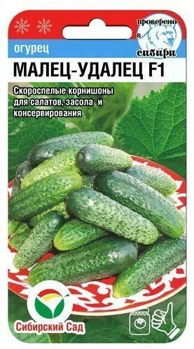 Семена огурцов «Малец-удалец F1»