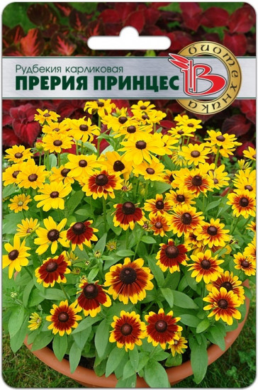 Семена цветов «Рудбекия карликовая Прерия Принцес»