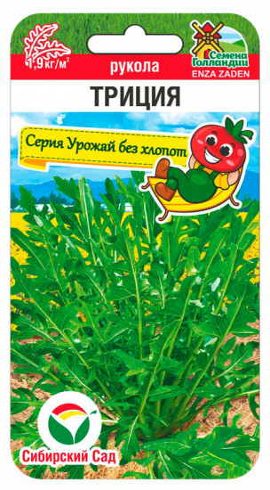Семена руколы «Триция»
