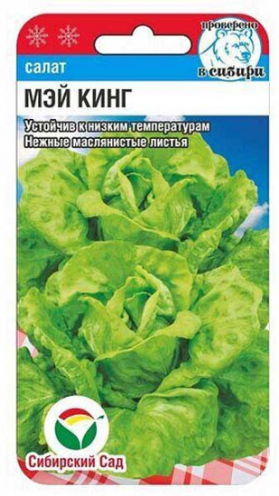 Семена салата «Мэй Кинг»