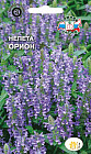 Семена непеты «Орион»