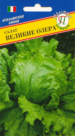 Семена салата кочанного «Великие озера»
