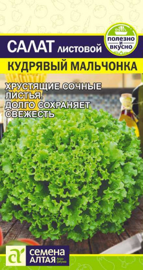 Семена салата «Кудрявый мальчонка»