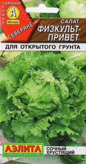 Семена салата «Физкульт-привет»