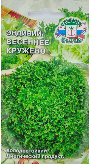Семена салата цикорного (эндивий) «Весеннее кружево»