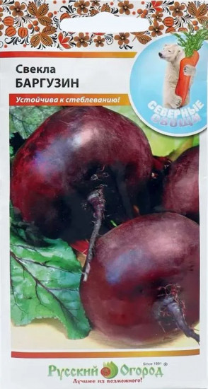 Семена свёклы «Баргузин»