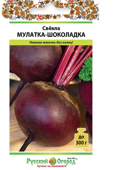 Семена свёклы «Мулатка-шоколадка»