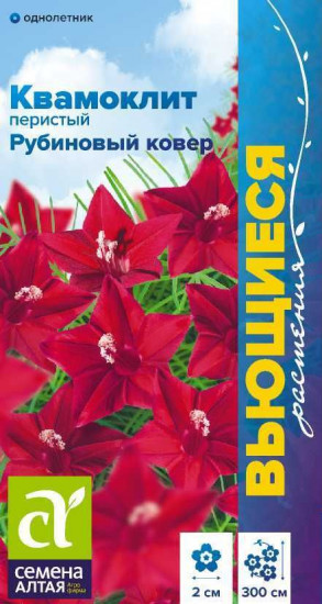 Семена квамоклита перистого «Рубиновый ковер»