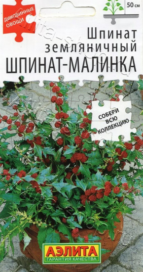 Семена шпината земляничного «Шпинат-малинка»
