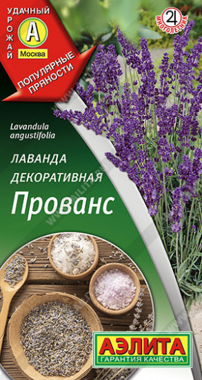 Семена лаванды декоративной «Прованс»