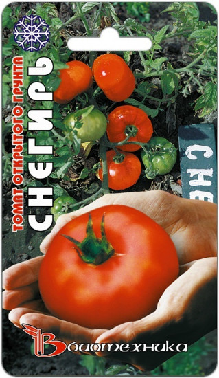 Семена томата «Снегирь»