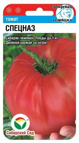 Семена томата «Спецназ»
