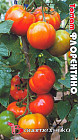 Семена томата «Флорентино»