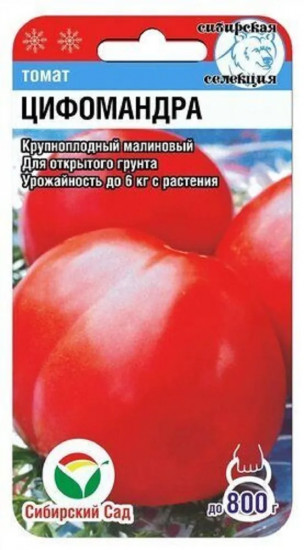 Семена томата «Цифомандра»