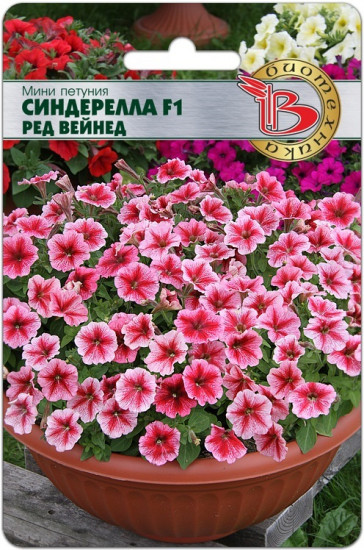 Семена петунии «Мини Синдерелла F1 Ред Вейнед»