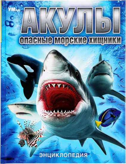Акулы. Опасные морские хищники