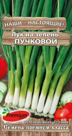 Семена лука на зелень «Пучковой»