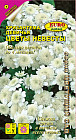 Семена хризантемы «Цветы невесты»