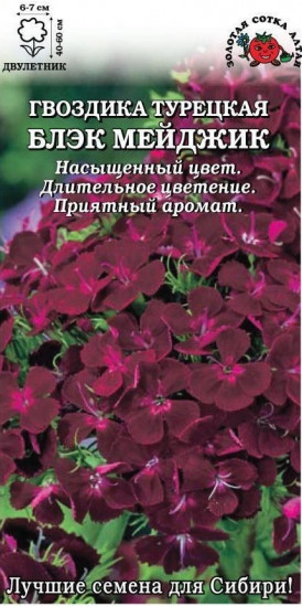 Семена гвоздики турецкой «Блек Мейджик»