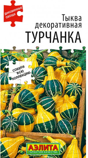 Семена тыквы «Турчанка»
