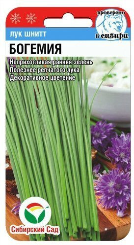 Семена лука шнитта «Богемия»